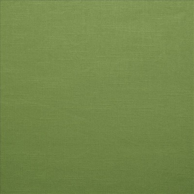 Kasmir Brandenburg Kelly Green Green Linen
45%  Blend Fire Rated Fabric Medium Duty CA 117  NFPA 260  Solid Color Linen  Fabric